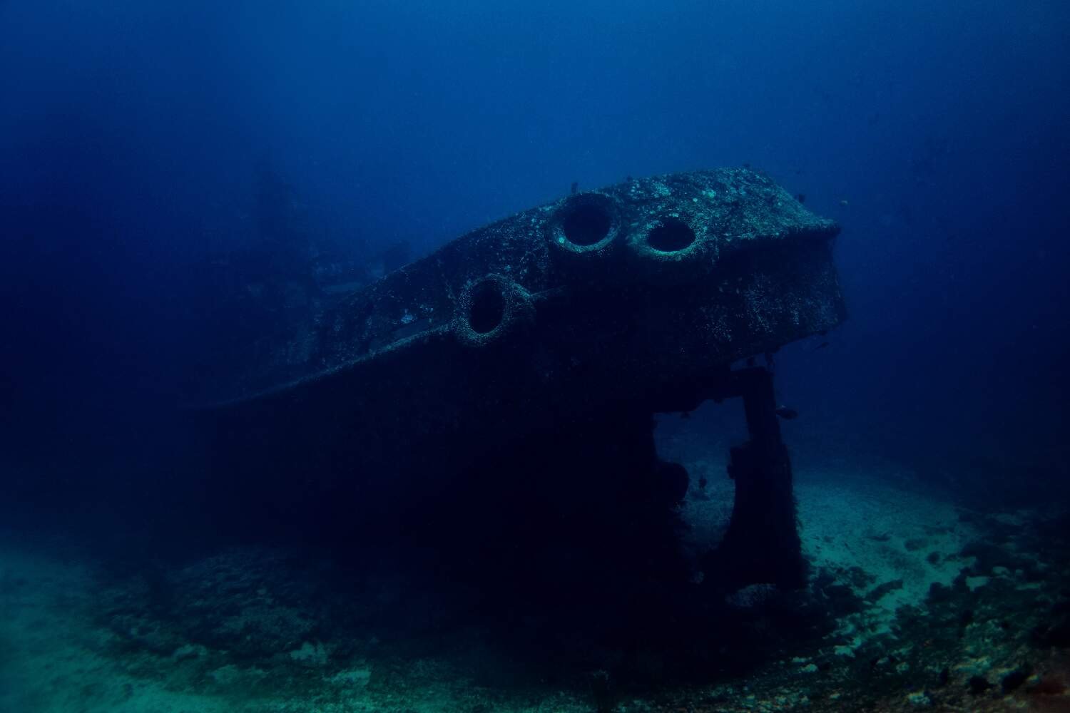 The Anemone Wreck Gili Island Lombok Liveaboards in Indonesia Koonam