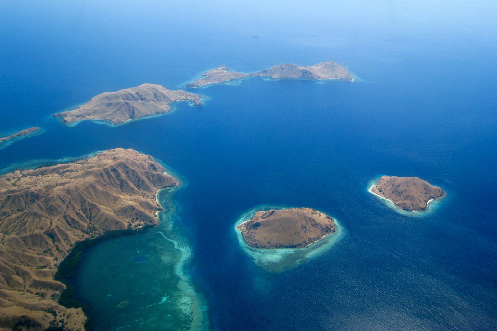 Komodo-Liveaboard-Indonesia