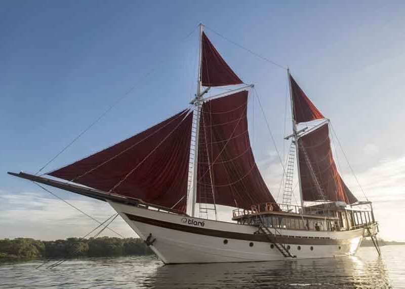 Tiare-Liveaboard-in-Indonesia-Koonam-o