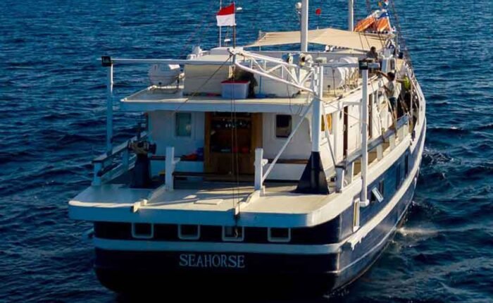 Seahorse-Liveaboard-Indonesia-Koonam-l