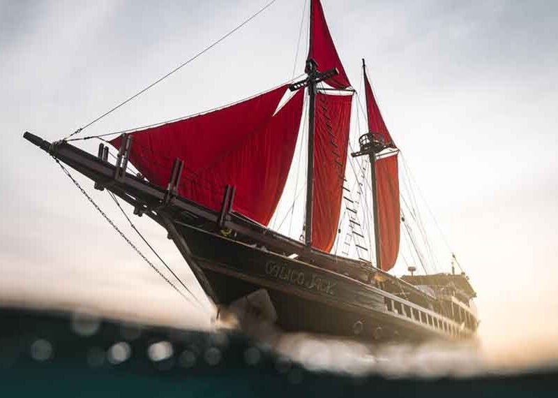 Calico-Jack-Liveaboard-Indonesia-Koonam-v