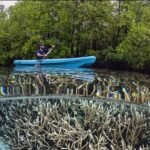 Majik-Cruise-Liveaboard-Indonesia-Koonam-s