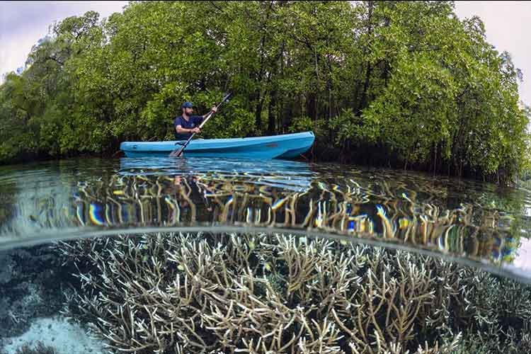 Majik-Cruise-Liveaboard-Indonesia-Koonam-s