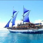 Sea-Safari-VIII-Liveaboard-Indonesia-Koonam-b