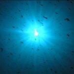 Sunshine-Liveaboard-Indonesia-Koonam-h