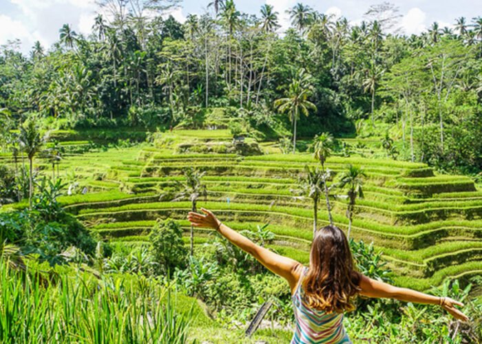 Tegallalang-rice-terrace_Bali-Tour-Packages_KOONAM